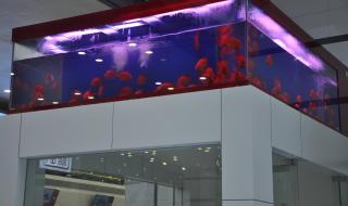 西安北大街城东汽车站怎么走 西安城东客运站新址