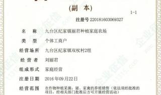 在线申请营业执照