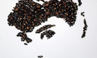 一键生成国旗头像 一键生成国旗头像