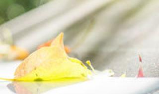 如何让闪图变成头像 非主流女生闪图头像