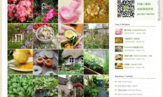 php网页设计 php网页设计