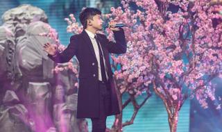 最佳原创歌手奖 最佳原创歌手奖