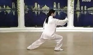 24式太极拳拳谱口诀毛阿敏 二十四式太极拳口令